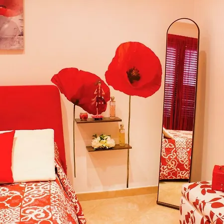 Apartament A Casa Di Alice Locazione Turistica Palermo